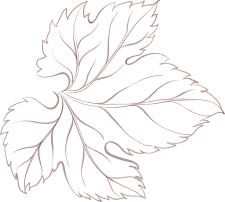 Franceschi Importadora