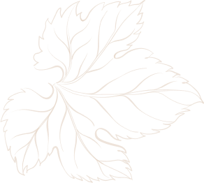 Franceschi importadora